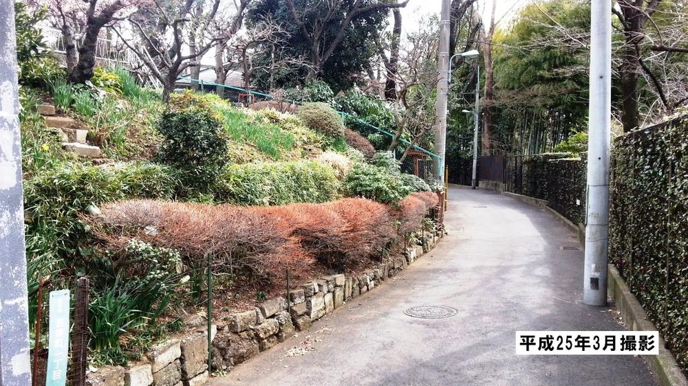 Local photos, including front road. Local (March 2013) Shooting