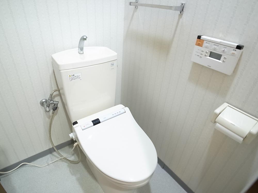 Toilet. Indoor (January 2014) Shooting