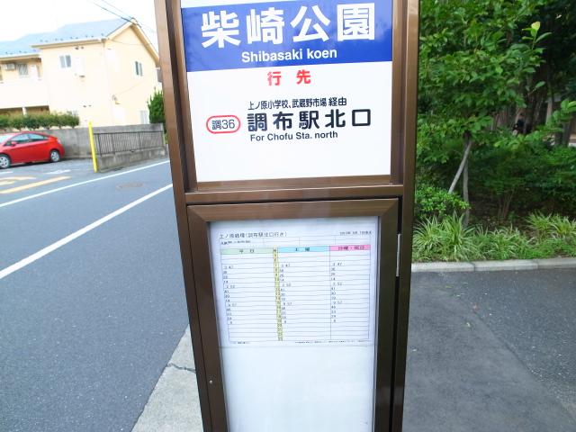 Other. Entrance eyes before the bus stop
