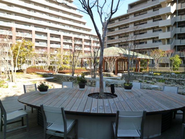 Other local. Rooftop garden (January 2012) shooting