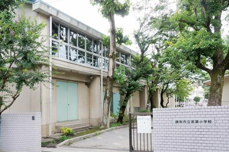 Primary school. Chofu Municipal Wakaba to elementary school 656m