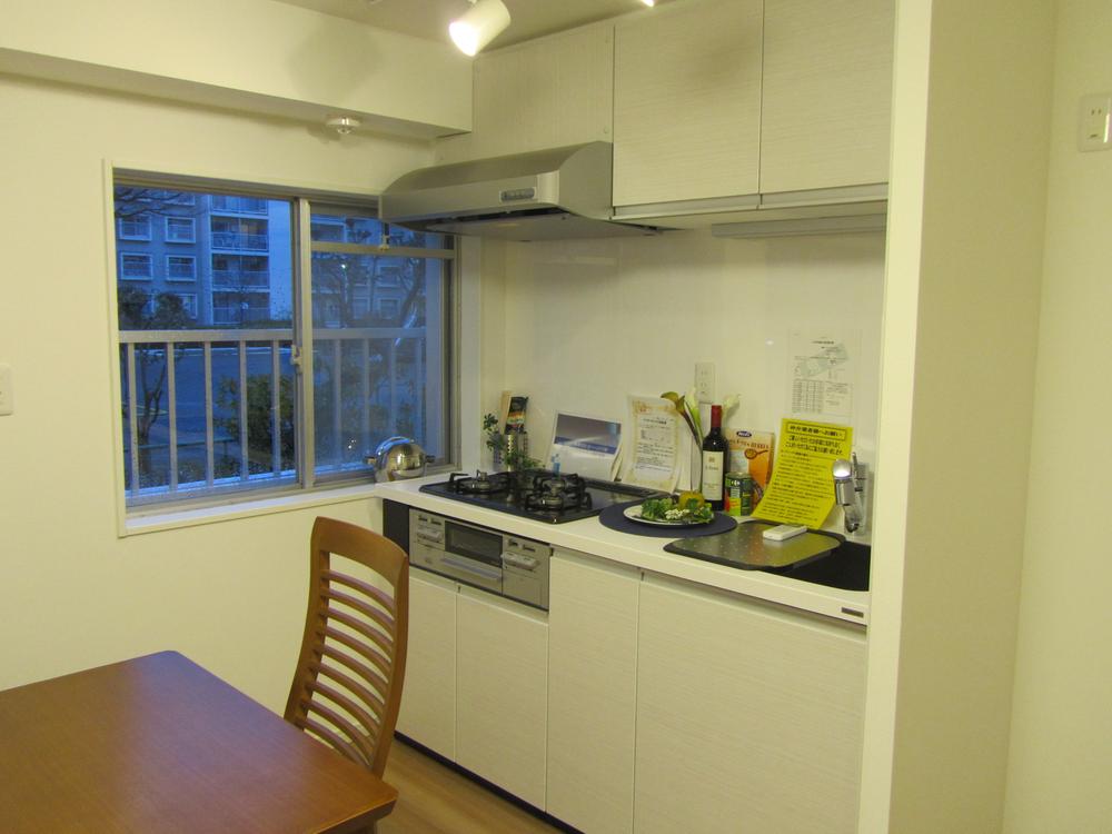 Kitchen. Indoor (12 May 2013) Shooting