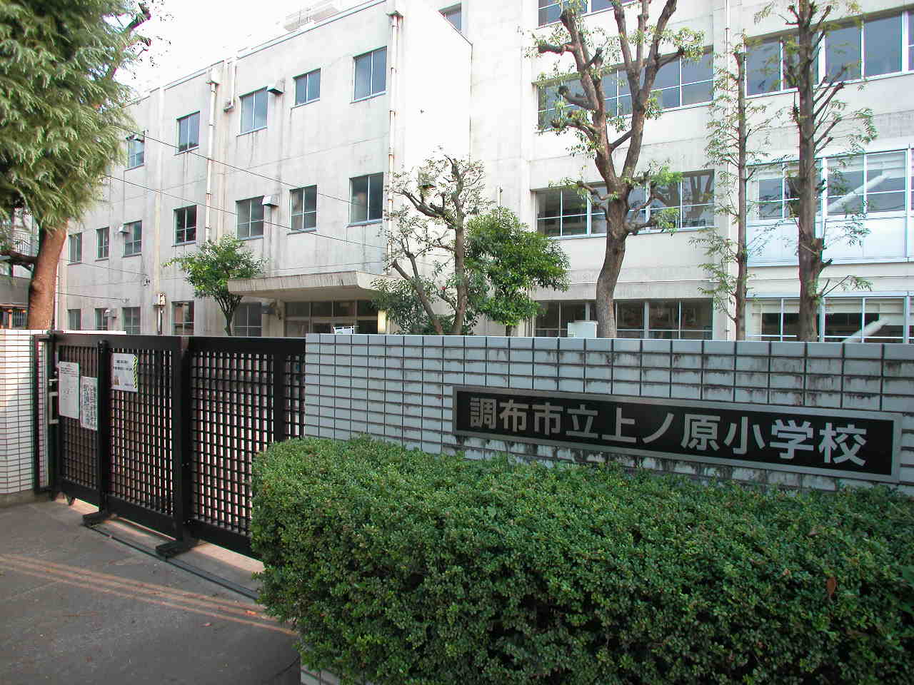 Primary school. 899m to Chofu Municipal Uenohara elementary school (elementary school)