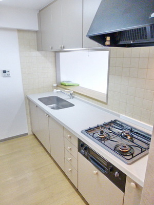 Kitchen. 3 with neck grill system Kitchen