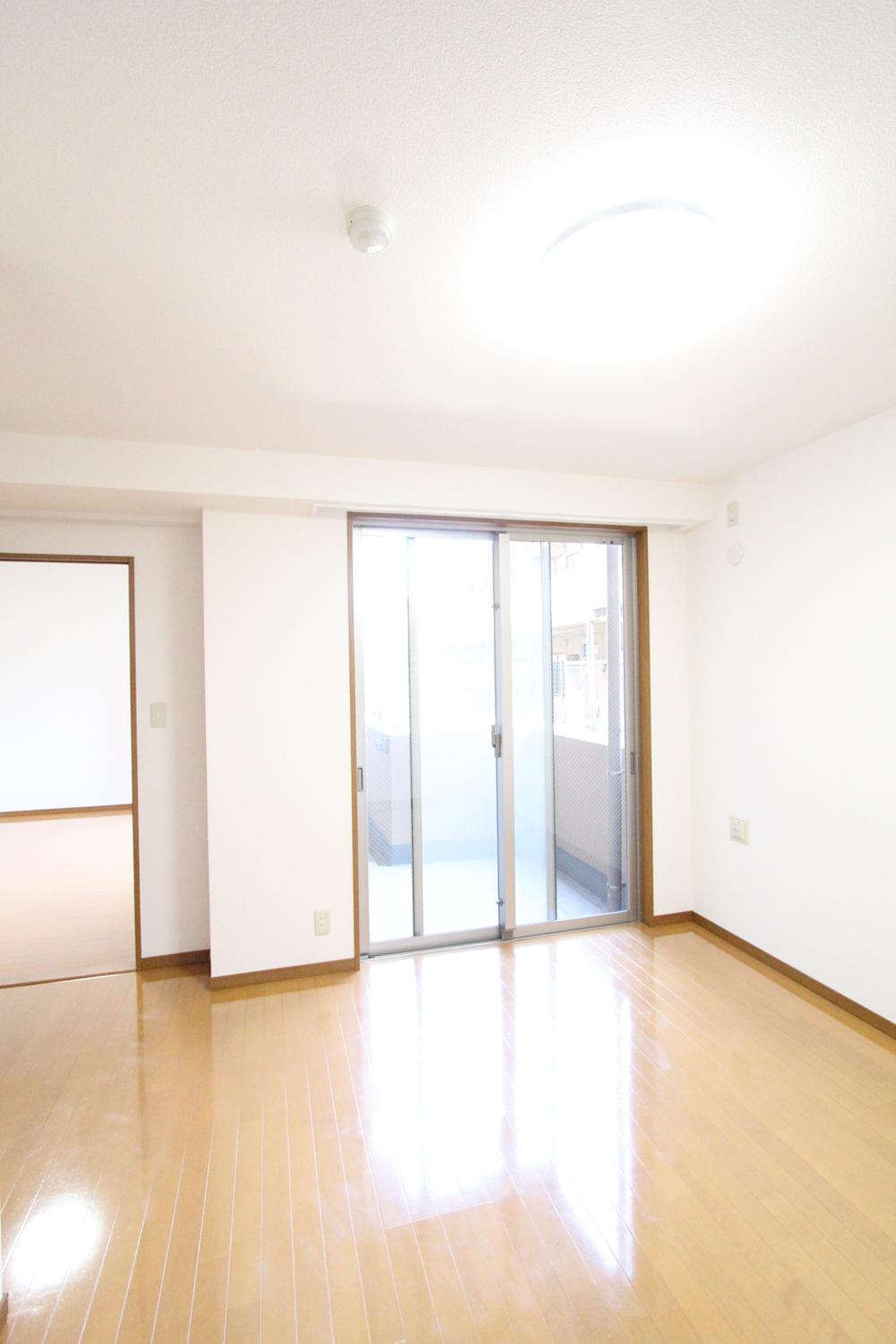 Other introspection. Interior