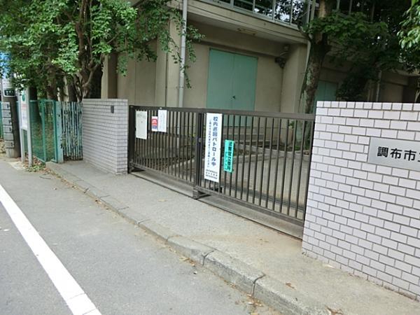 Primary school. 299m until the young leaves elementary school