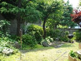 Local land photo. Garden (June 2012) shooting