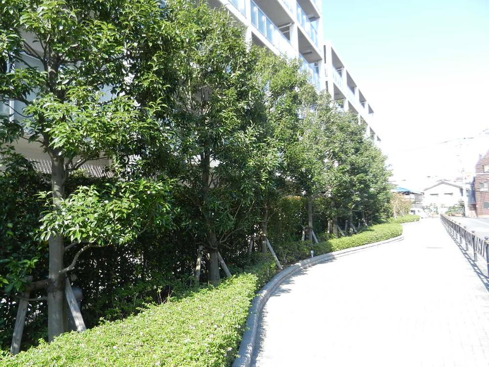Other common areas. Site side road
