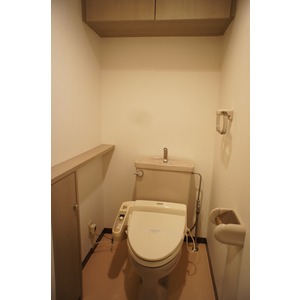 Living and room. Japanese style room