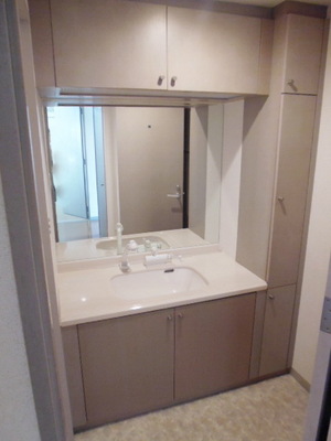 Washroom. Large independent vanity