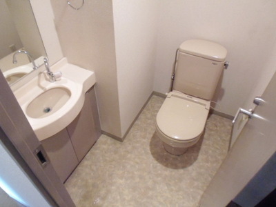 Toilet. There is a wash basin in the toilet