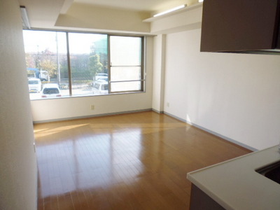 Living and room. Spacious living