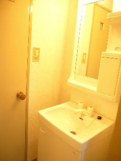 Washroom. Popular independent wash basin