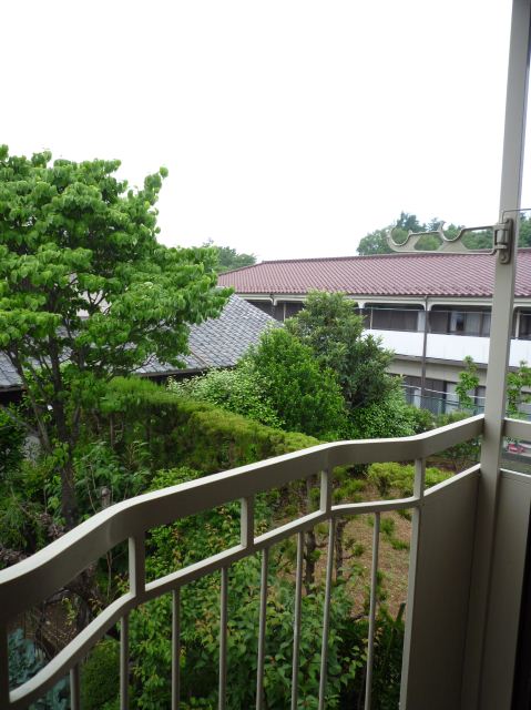 Balcony. Facing south, Corner room, Day is good.