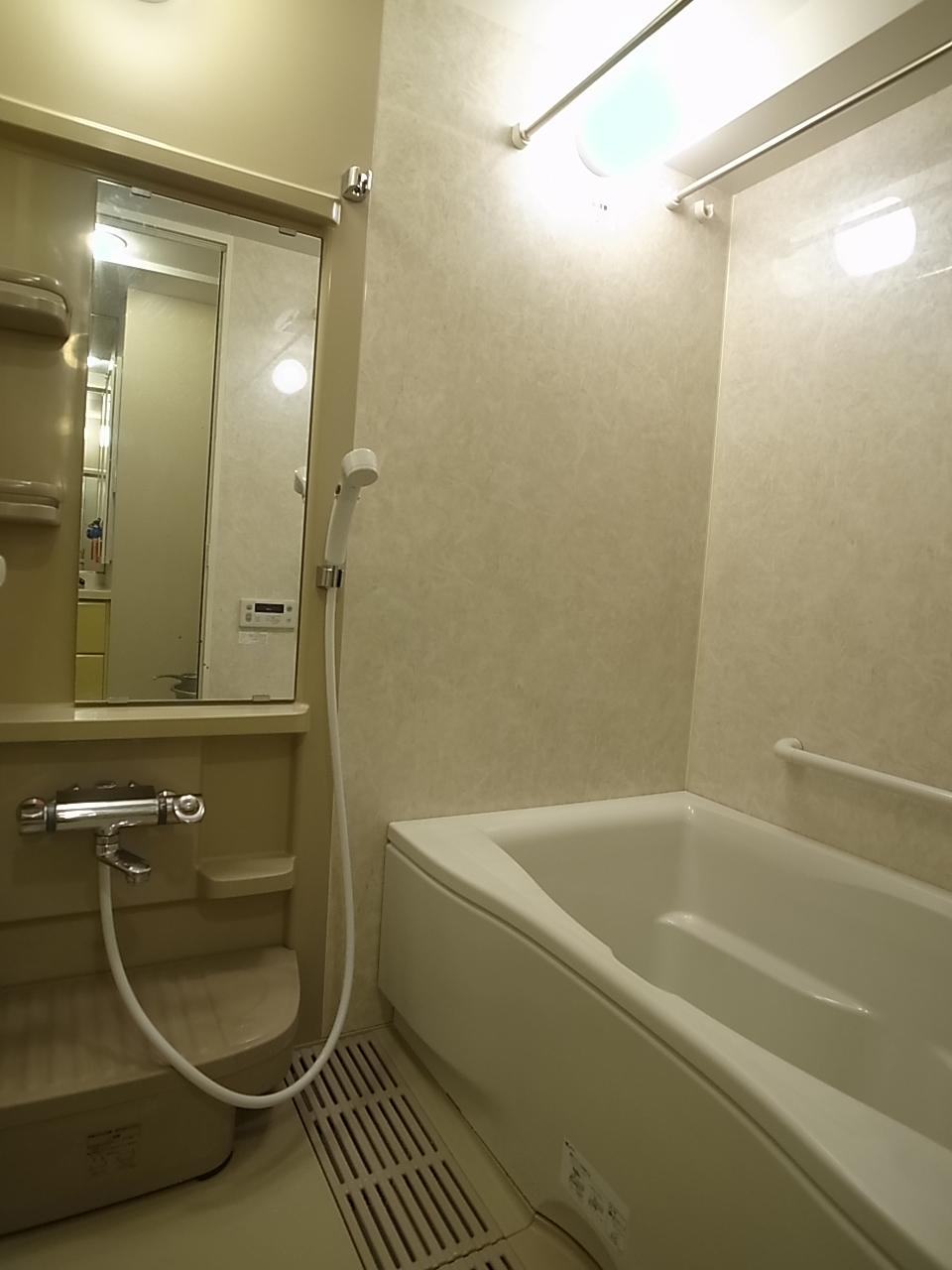 Bathroom. Indoor (12 May 2013) Shooting