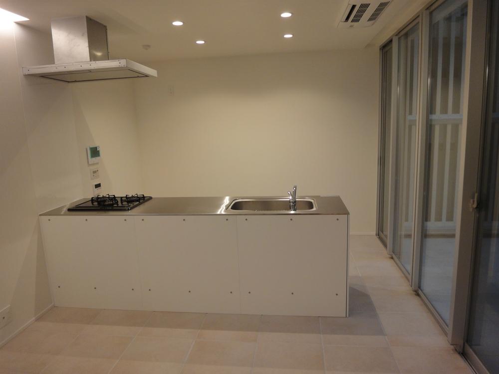 Kitchen. Indoor (11 May 2013) Shooting