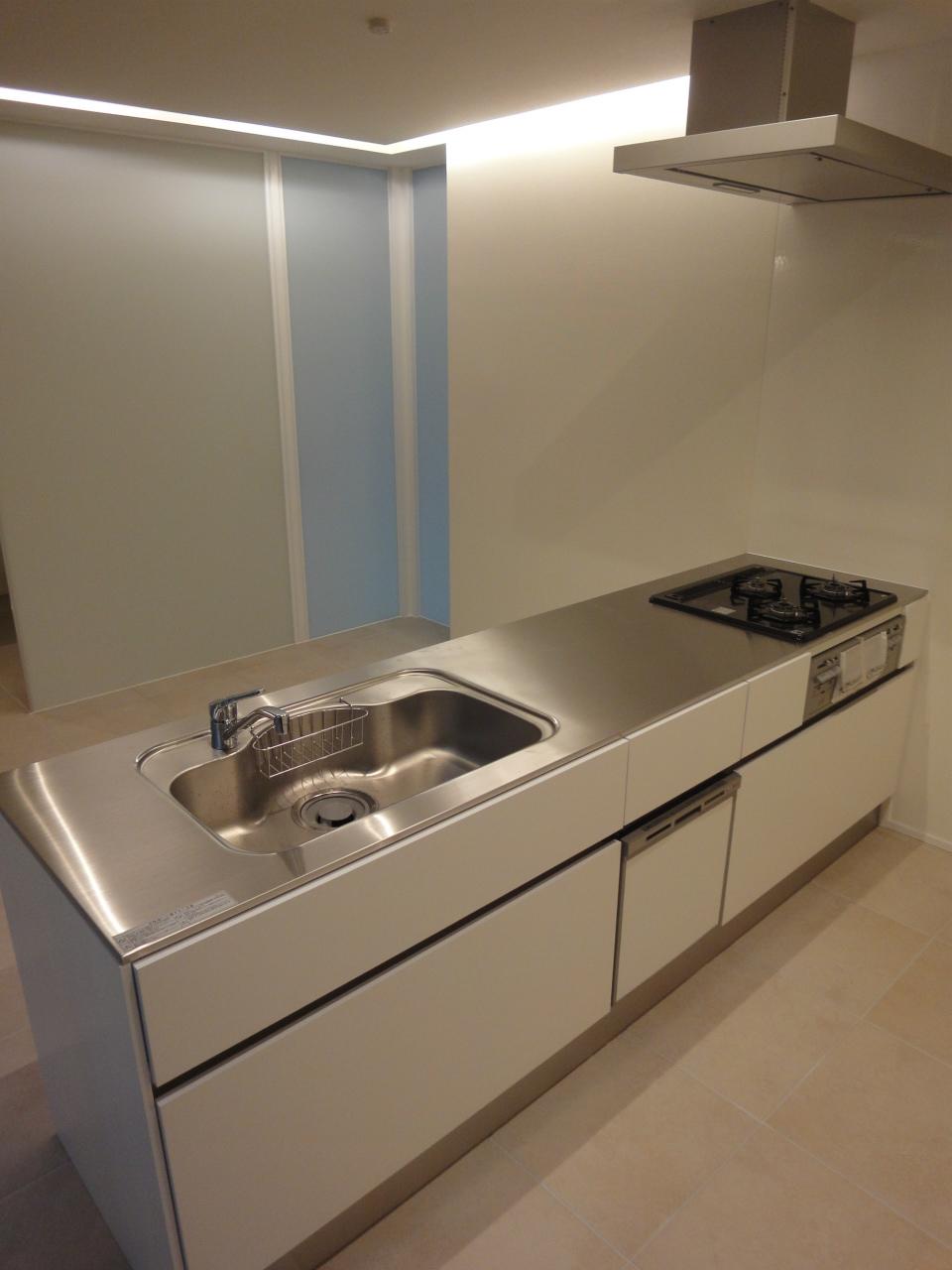 Kitchen. Indoor (11 May 2013) Shooting