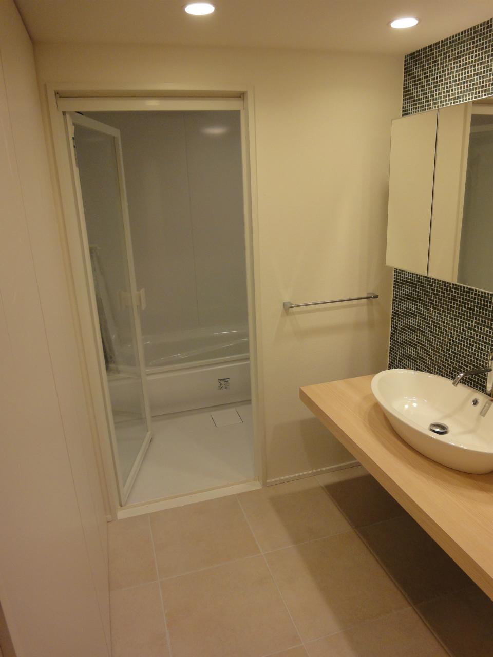 Wash basin, toilet. Indoor (11 May 2013) Shooting