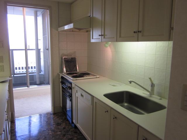 Kitchen. Indoor (March 2012) shooting