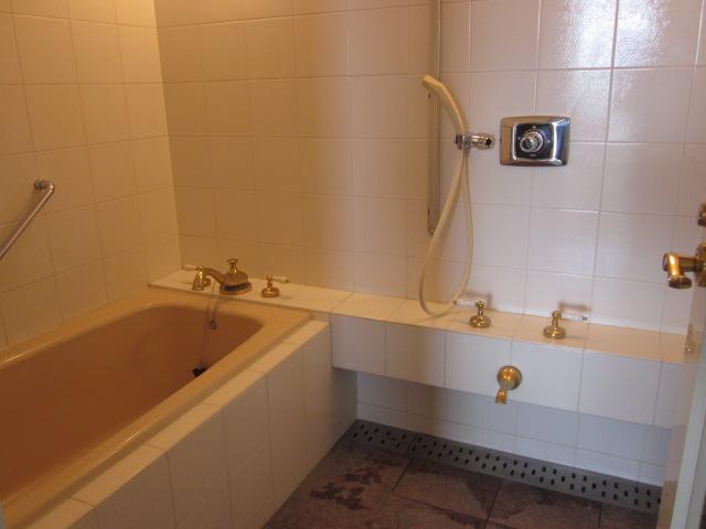 Bathroom. Indoor (March 2012) shooting