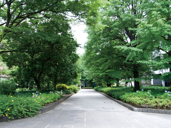 Surrounding environment. Municipal Hamacho park (8-minute walk / About 600m)