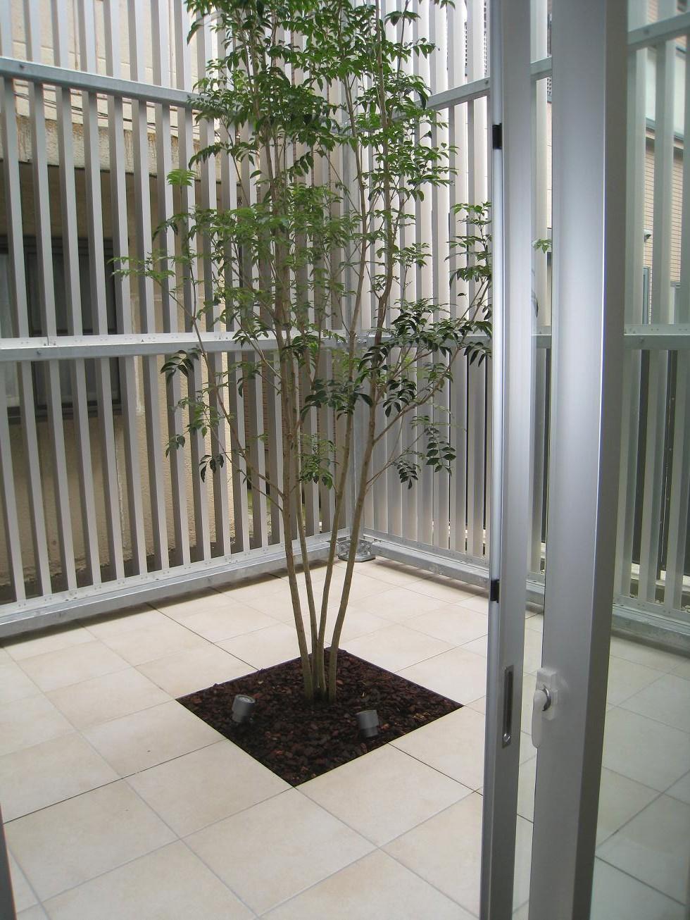 Garden. Local (10 May 2013) Shooting