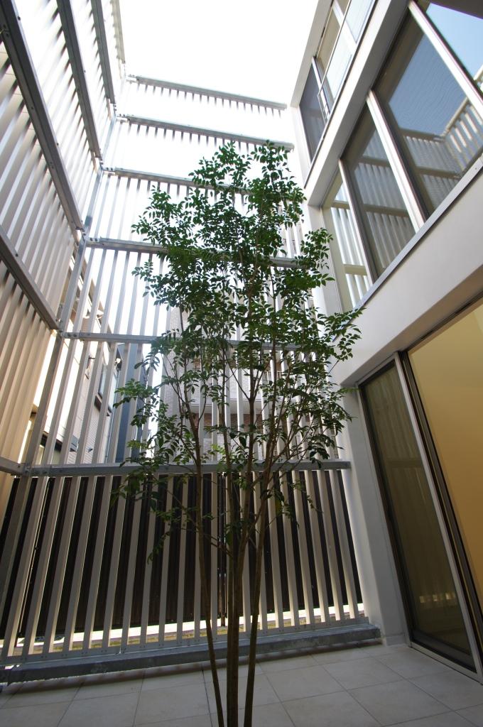 Other introspection. Indoor (11 May 2013) Shooting