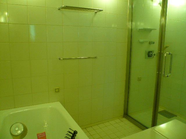 Bathroom. Indoor (January 2012) shooting