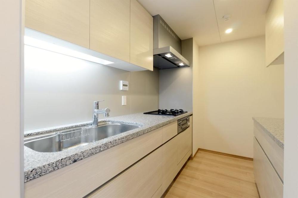 Kitchen. Indoor (11 May 2013) Shooting