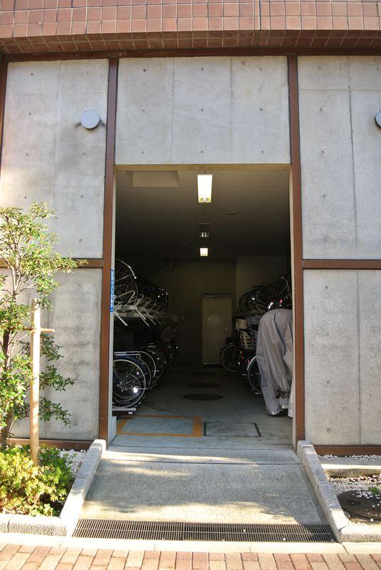 Parking lot. Parking area