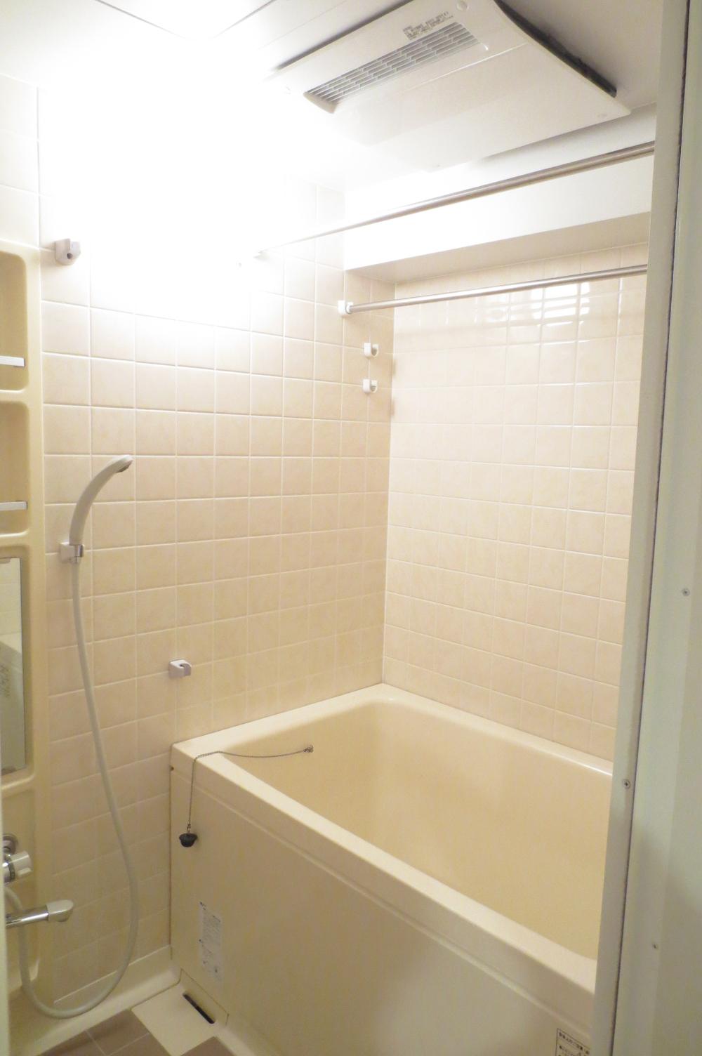 Bathroom. Indoor (12 May 2013) Shooting