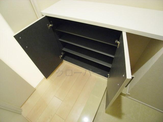 Entrance. Footwear purse