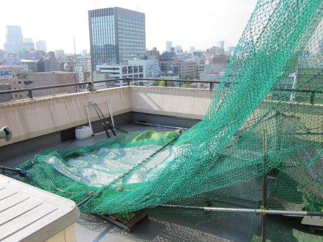 Balcony. Local (September 2012) shooting