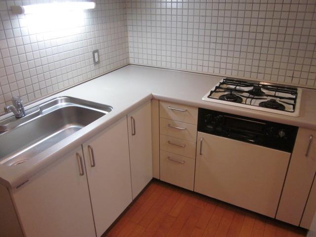 Kitchen. Indoor (10 May 2013) Shooting