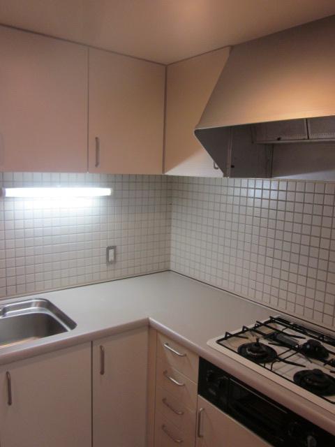 Kitchen. Indoor (10 May 2013) Shooting