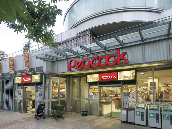 Surrounding environment. Daimarupikokku (about 110m / A 2-minute walk)