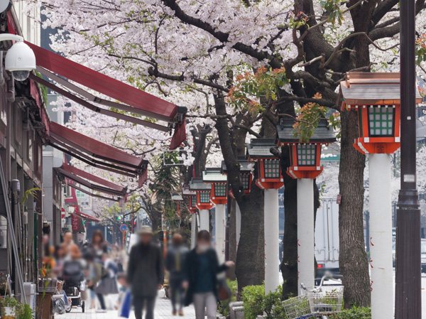 Surrounding environment. Suitengu (about 800m / A 10-minute walk)