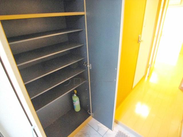 Entrance. Footwear purse