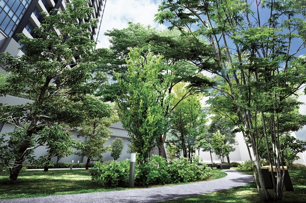 Forest Rendering of the month ( ※ 2)