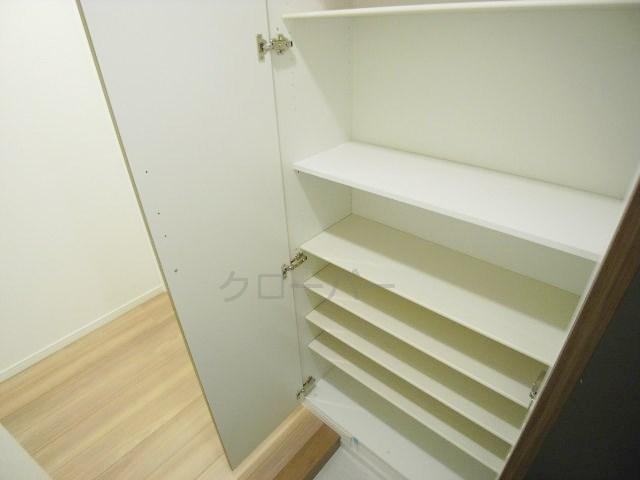 Entrance. Footwear purse