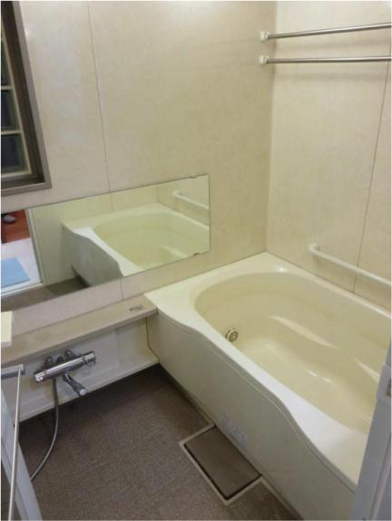 Bathroom. Indoor (12 May 2013) Shooting