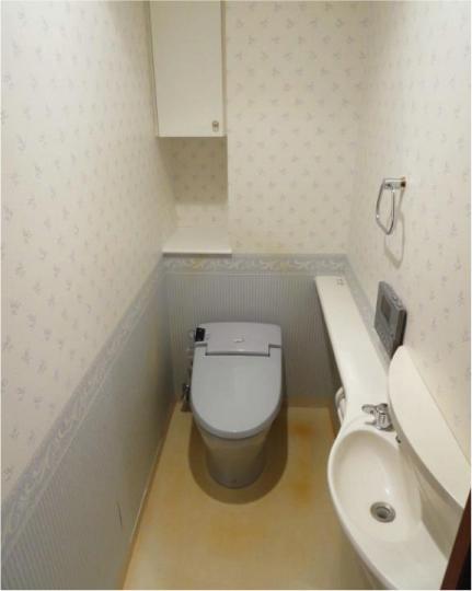 Toilet. Indoor (12 May 2013) Shooting