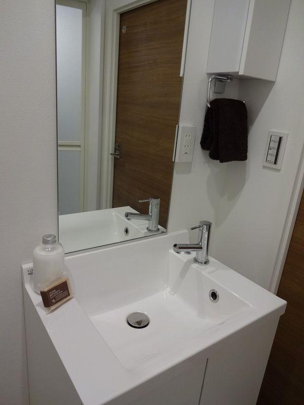 Wash basin, toilet. Bathroom vanity