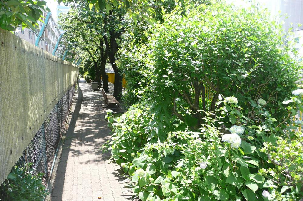 Other. Tsukishima River 2-minute walk from the green of the promenade (about 153m)