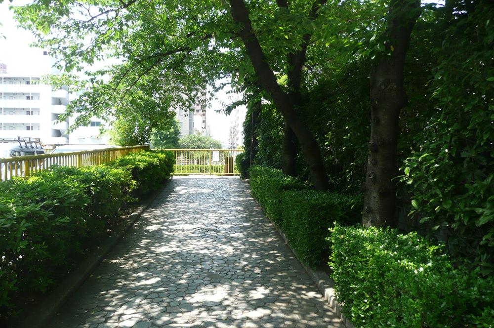 Other. Tsukishima River 2-minute walk from the green of the promenade (about 153m)