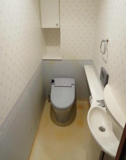 Toilet. Indoor (12 May 2013) Shooting