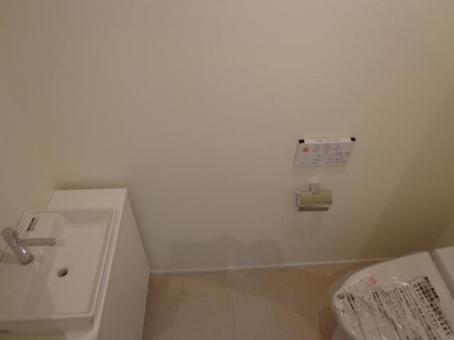 Toilet. First floor toilet