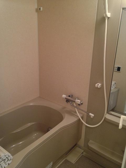 Bathroom. Indoor (10 May 2013) Shooting