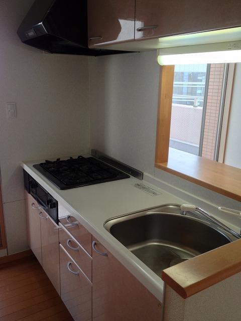 Kitchen. Indoor (10 May 2013) Shooting