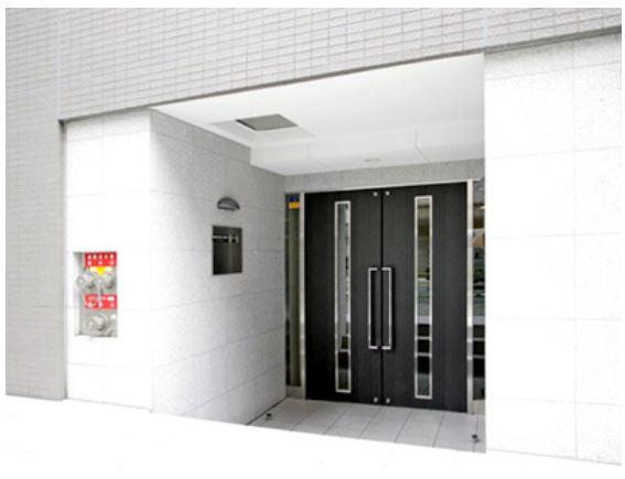 Entrance. Common areas